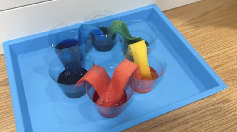 Science Projects for 2nd Graders an image of a science experiment showing how water can