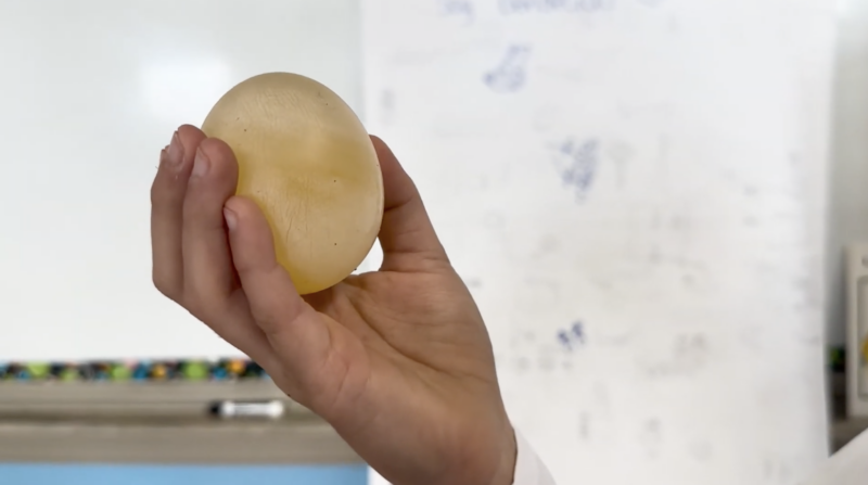 First Grade Science Projects an image of a first grade science experiment: naked egg