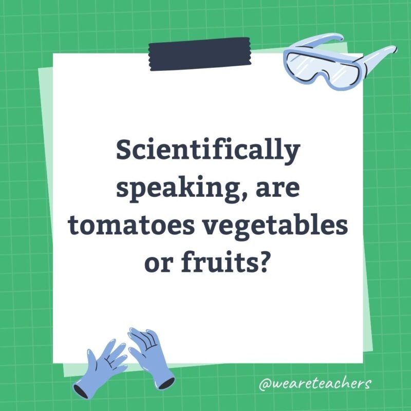 Scientifically speaking, are tomatoes vegetables or fruits?-science trivia