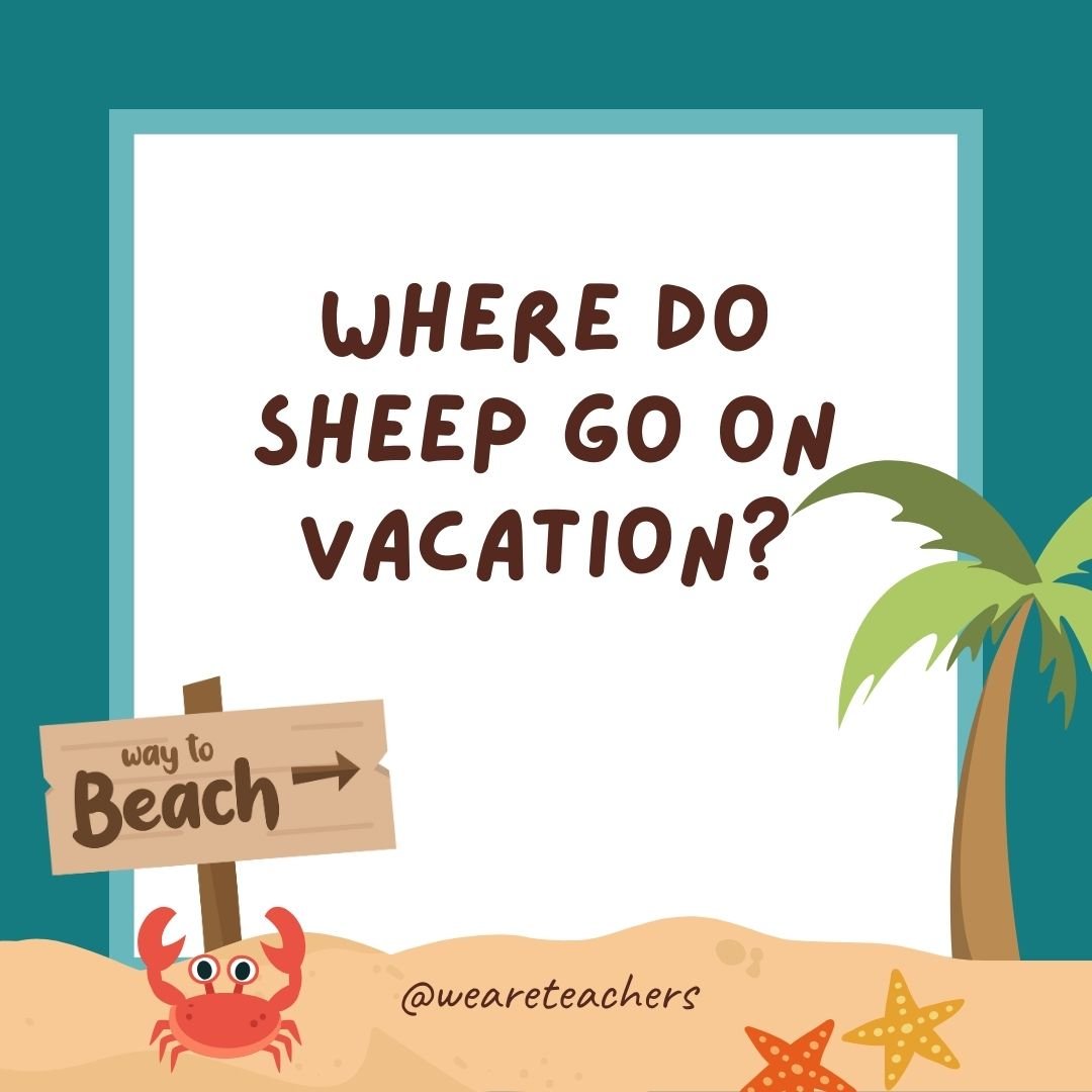 Jokes about summer: Where do sheep go on vacation? To the Baa-hamas.