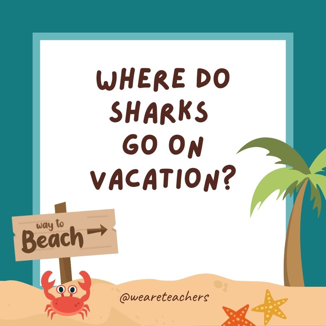 Jokes about summer: Where do sharks go on vacation? Finland.