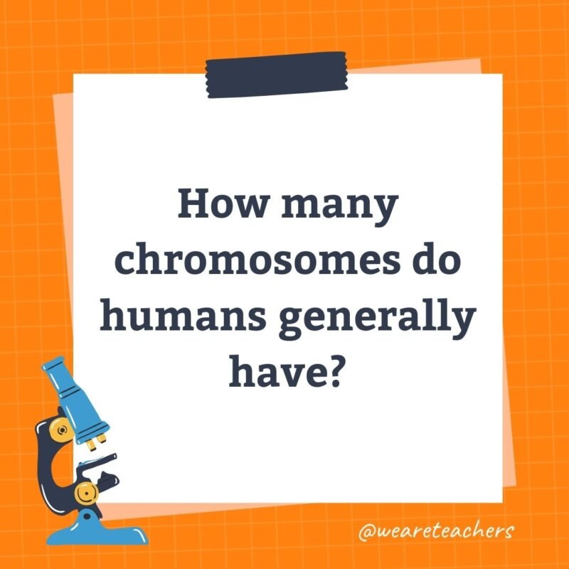 38. How many chromosomes do humans generally have?
