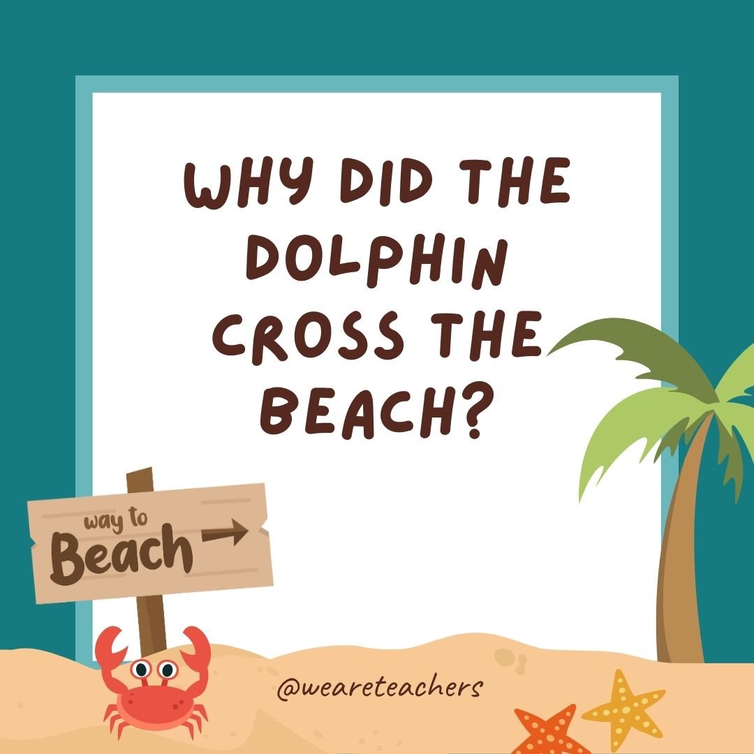 Jokes about summer: Why did the dolphin cross the beach? To get to the other tide.