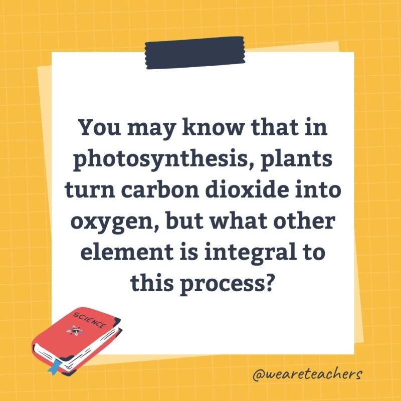 You may know that in photosynthesis, plants turn carbon dioxide into oxygen, but what other element is integral to this process?
