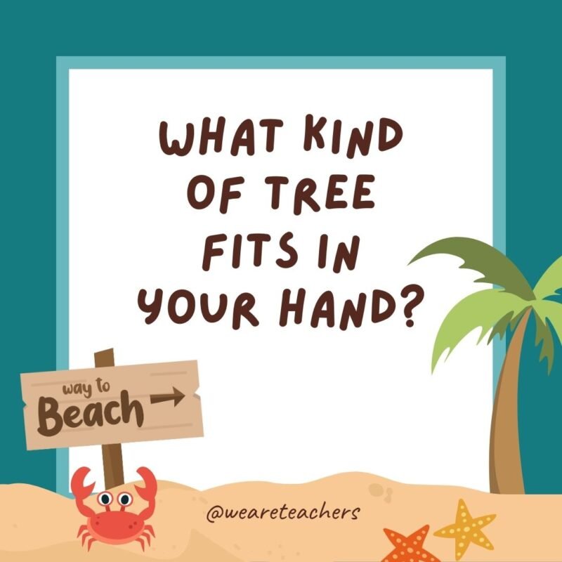 What kind of tree fits in your hand?