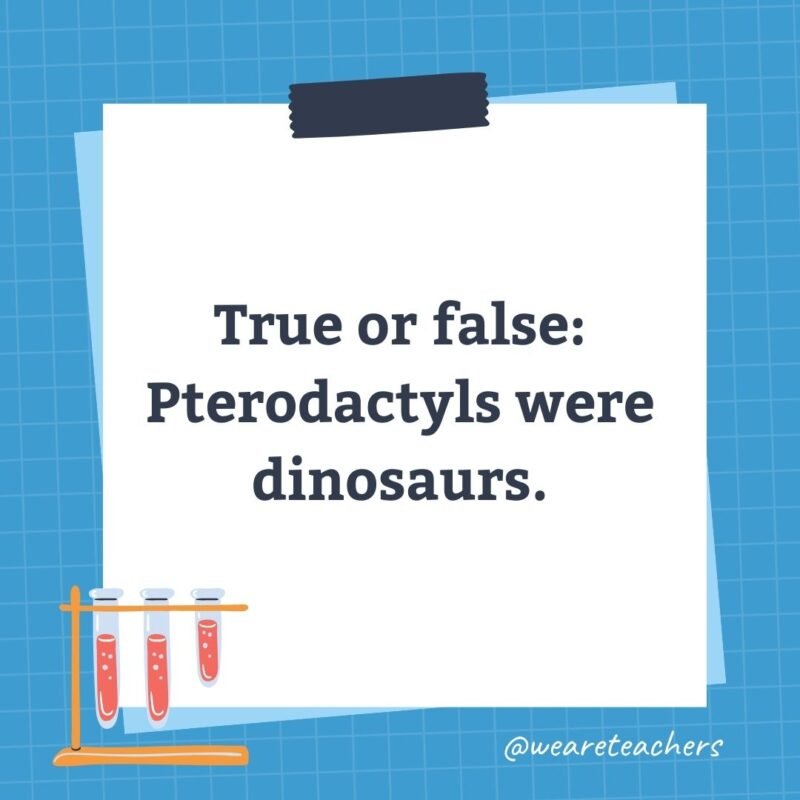 True or false: Pterodactyls were dinosaurs.