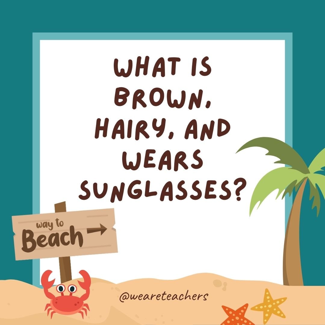 Jokes about summer: What is brown, hairy, and wears sunglasses? A coconut on vacation. 