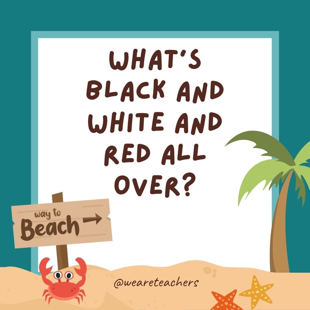 Jokes about summer: What’s black and white and red all over? A zebra with a sunburn.