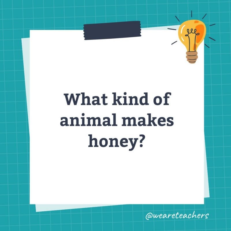an image of a science trivia question for kids that states: What kind of animal makes honey?