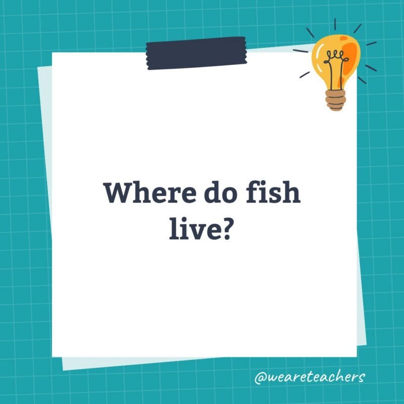 an image of a science trivia question for kids that states: Where do fish live?