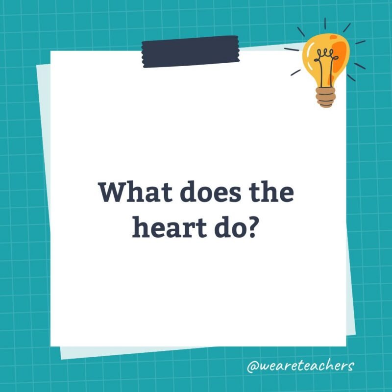 an image of a science trivia question for kids that states: What does the heart do?