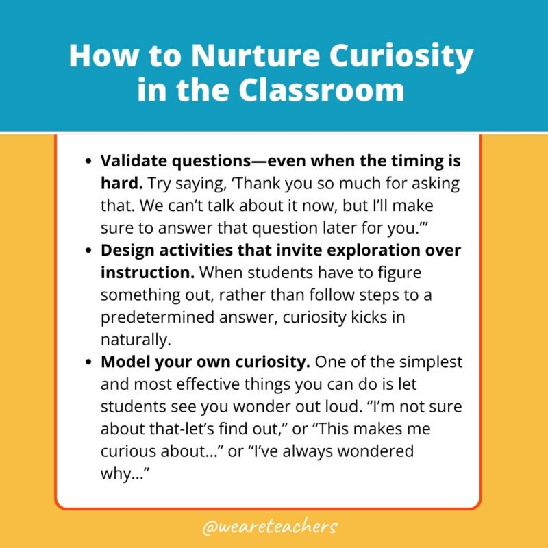 How to Nurture Curiosity in the Classroom How to Nurture Curiosity in the Classroom