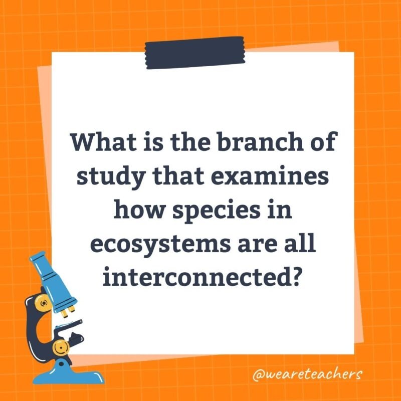 What is the branch of study that examines how species in ecosystems are all interconnected?- science trivia
