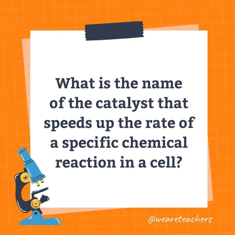 What is the name of the catalyst that speeds up the rate of a specific chemical reaction in a cell?