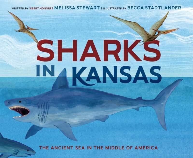 Sharks in Kansas book cover